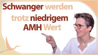 Q&A: Schwanger werden trotz niedrigem AMH Wert  (Heidi Gößlinghoff)