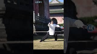 扑步转弓步 武術基本功 taichi Tutorial