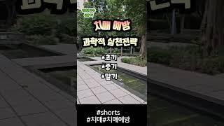 치매:전문적이해와 실제적도움#치매부부#치매부모#치매아내#치매남편