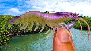 I Tied This Lure on and the Fish Couldn't Resist...