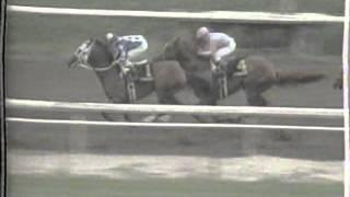 1988 San Bernardino H. -- Alysheba Ferdinand GoodTaste