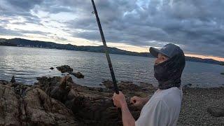 Wellington Harbor Fishing | My Best Landbased Fishing Session Yet!