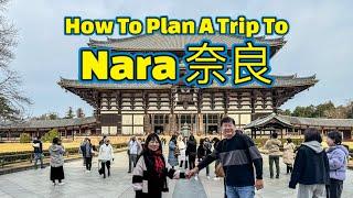 How To Plan A Day Trip To Nara 奈良, the old capital of Japan; from Kyoto or Osaka; Todaiji, Nara Park