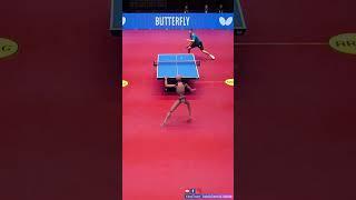 Real Robot Playing Table Tennis – Unbelievable Skills!