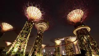 Time Lapse -  Gardens by the Bay, Super Trees | SUPERADRIANME.com