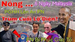 Nóng...Trùm Cuối Lộ Diện...PN Bị Sư Phúc Giác Loại Bỏ...Anh Báu Nói Hết Sự Thật Thầy Minh Tuệ