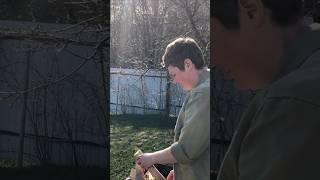 Скоро на всех дачных и садовых участках начнется #shorts #юмор #дачныйвлог