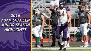 NFL Draft Prospect TE Adam Shaheen Junior Season Highlights - 2016 Ashland University Football