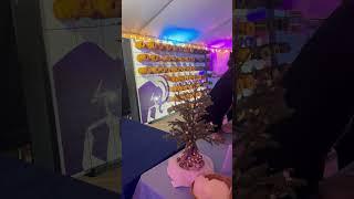 Winter Festival 2023 | #AmherstCollege
