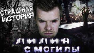 ЛИЛИЯ С МОГИЛЫ. Новая страшная история