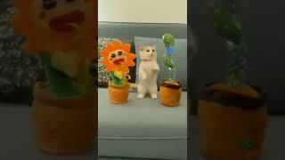 Kitty dances with viral toys