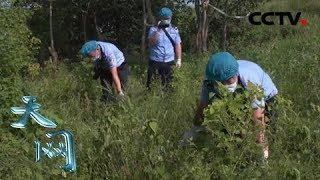 《天网》致命的谎言：幽静河堤发现无名女尸 警方调取监控 神秘的问路人究竟是谁？| CCTV社会与法