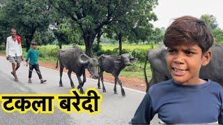 टकला बरेदी || Bundeli Comedy || Halle Bhaiya || Takla baredi