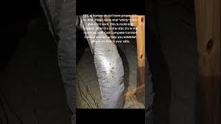 Solar Attic Ventilation will clean up the attic air AND reduce the heat of your attic. ​⁠