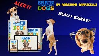 Brain Training for Dogs Review By Adrienne Farricelli Really Works?