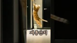 올타임레전드