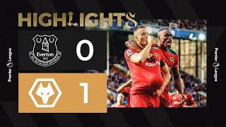 Super sub Sasa Kalajdzic wins it for Wolves! Everton 0-1 Wolves | Highlights