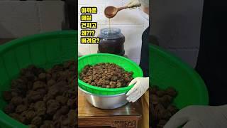 매실 건지고 절대로 버리지마세요#shotrs