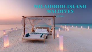 Fantastic Stay at Milaidhoo Island Maldives - Small Luxury Hotel