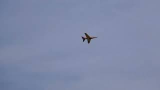 bvm bandit turbine jet bad landing Apollo 4-22-23