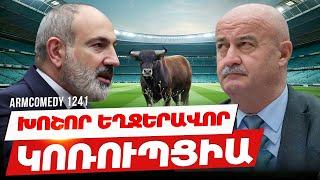 ArmComedy 1241 - Խոշոր եղջերավոր կոռուպցիա