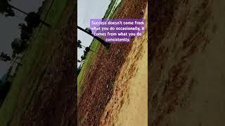 Success doesn’t come #trending #mentalstability #mindfulnessliving #youtube #youtubeshorts #viral