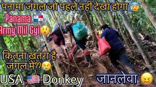 USA Donkey Panama  Jungle | Full Details Video | बहुत ख़ौफ़नाक India  To USA  Donkey