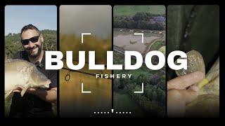 Bulldog Fisheries | Carp Fishing | Day Ticket  | Fishing in Devon