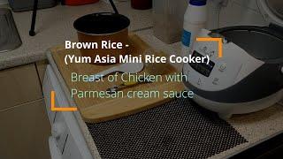 Brown Rice (Yum Asia Panda Mini Rice Cooker | With Breast of Chicken in a Parmesan Cream Sauce.