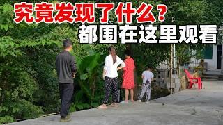 把发芽的土豆随手种在菜地，没想到收获了这么多，虽然不是很漂亮，但是自己种的心里满是成就感