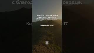 Колоссянам 3:16-17 в современном переводе #библия #biblevision