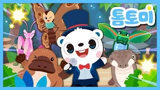[KR] Unique Insect Songs | Colorful Bug Song | Kids Songs Compilation | Unique Series | #TOMTOMI