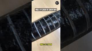 채식 김밥을 저렴하게 먹고 싶다면 ‘제임스김밥’ [부슐랭] #shorts