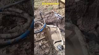 Абиссинка на плывуне, статика минус 0.3 #абиссинская