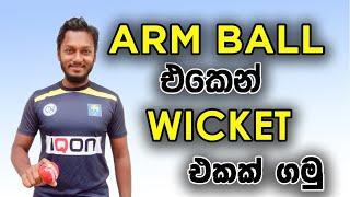 How to Bowl Arm Ball | Fielding JayA