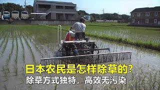 日本农民是怎样除草的？除草方式独特，高效无污染，令人赞叹！