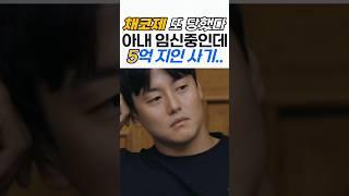 채코제 아내 임신했는데, 또 사기당했다.