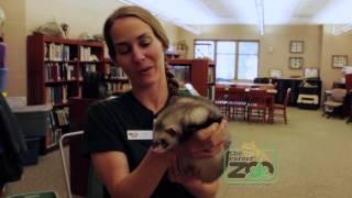 Day in the Life of a Zoo Education Specialist