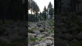 Dreamy Evening | Kumrat Valley | Roam With Arif