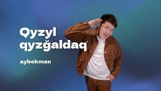 Aibek - Qyzyl qyzğaldaq (Official Music Video)