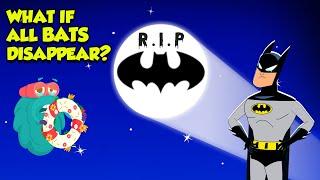 What if all Bats Disappeared?। Why Bats Are Important To The Environment । The Dr. Binocs Show