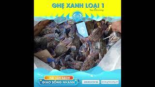 GHẸ XANH SỐNG LOẠI 1- HẢI SẢN TƯ GHẸ