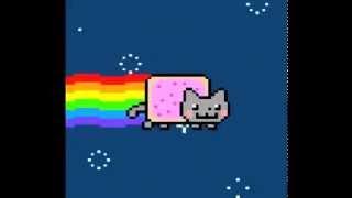 Нянкот - мем (Nyan Cat original)