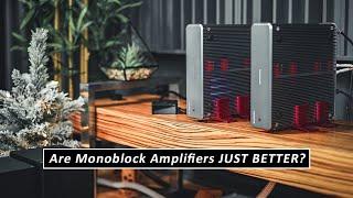 WHAT?! Crazy Design - HIGH CURRENT FLAGSHIP Monoblock Amplifier For Home Speaker Systems!