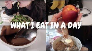 What I eat in a day | 我一天都吃了什么 | 健康轻食篇 | 减肥参考