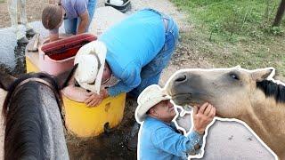 DIRTY JOBS : Farm Style