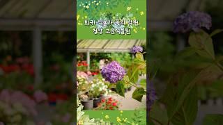 작약, 수국, 철쭉을 동시에 볼 수 있었던 충남 청양 고운식물원 #고운식물원 #충남여행 #청양군 #식물원 #수목원 #충남관광 #충남방문의해 #꽃축제 #6월여행