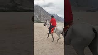 #solotravel #attitude #horseriding #desert #skardu