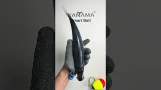  Kanama Smart Bait - Revive dead bait fish and catch big fish easily #kanama #釣り #fishing  #angler