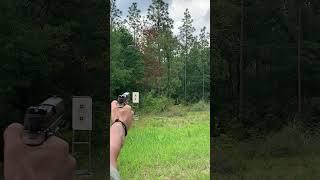 SIG SAUER P320 M17 at 30 yards